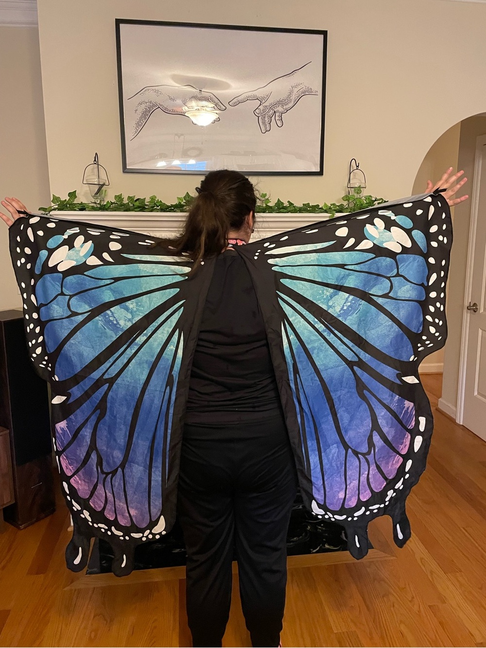 Butterfly Wings Costume for Kids